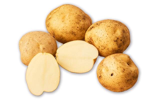 北海道産新じゃが　きたひめ＜計5kg＞　◆2026年9月中旬発送開始予定