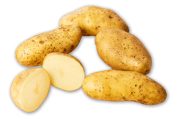 北海道産新じゃが　ホッカイコガネ＜計5kg＞　◆2026年9月下旬発送開始予定