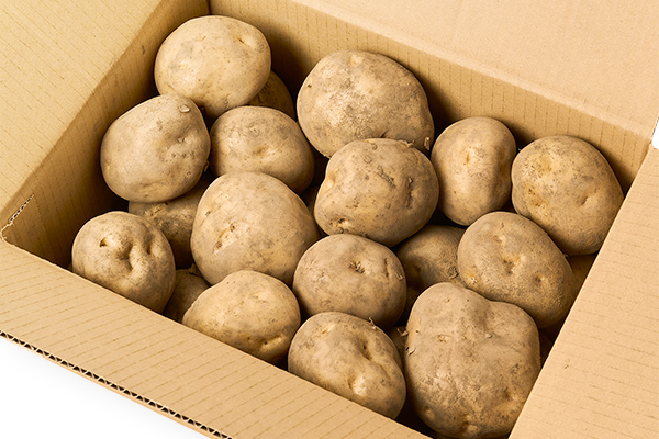 北海道産新じゃが　男爵＜計5kg＞　◆2026年9月中旬発送開始予定