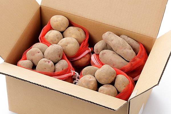 北海道産じゃがいも　おまかせ4種セット＜計10kg＞ ◆2025年12月配送予定