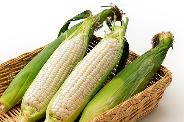 北海道産ホワイトコーン＜計6本＞　◆2026年08月配送予定
