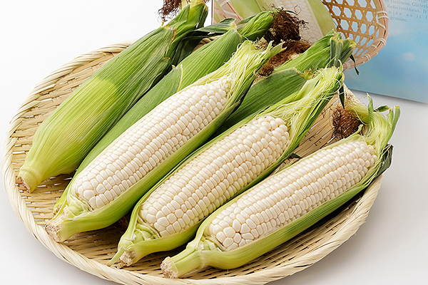 北海道産ホワイトコーン＜計6本＞　◆2026年08月配送予定
