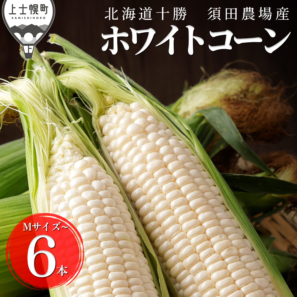 北海道産ホワイトコーン＜計6本＞　◆2026年08月配送予定