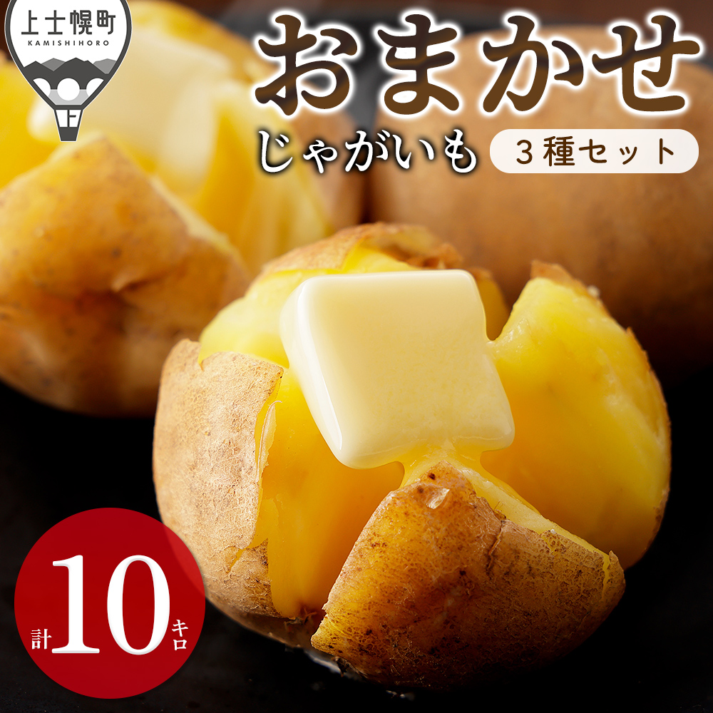 北海道産おまかせじゃがいも4種セット＜計10kg＞　2026年12月配送予定
