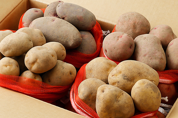 北海道産インカのめざめとじゃがいも3種セット＜計10kg＞　◆2026年11月配送予定