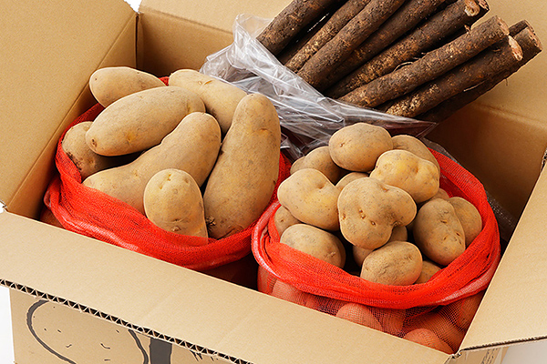 北海道産越冬インカのめざめ・メークインとごぼうセット＜計9kg＞　◆2027年02月配送