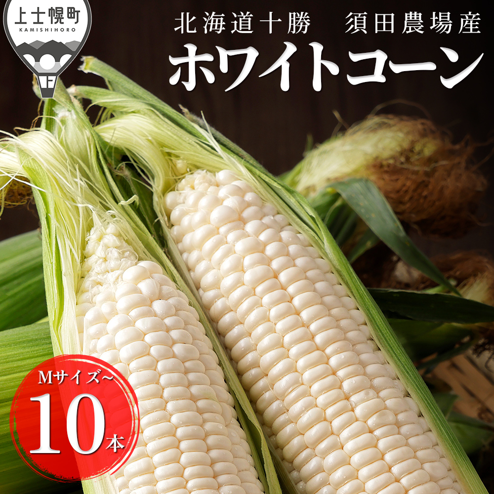 北海道産ホワイトコーン＜計10本＞　◆2026年08月配送予定