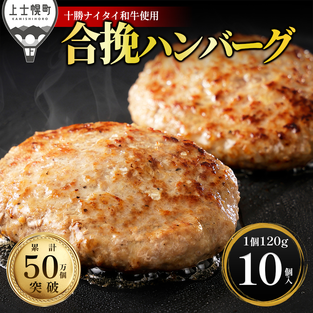十勝ナイタイ和牛　ビーフ&ポーク　ハンバーグ＜120g×10個＞