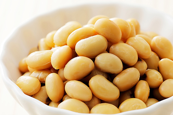 十勝産大豆のドライパック缶＜16缶＞