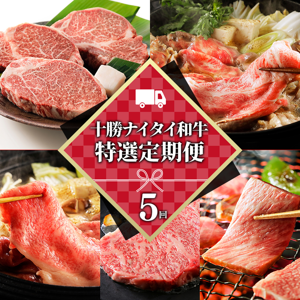 十勝ナイタイ和牛特選定期便 5ヵ月コース